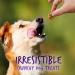Fruitables Baked Dog Treats - Healthy Pumpkin & Blueberry Snacks | Low-Calorie, Wheat, Corn & Soy Free | 7 Oz - Buy Online on SooperMarket.com