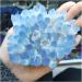 Blue Ghost Phantom Quartz Crystal Cluster Specimen Decoration Gift FZUGEDRLI - Buy Online on SooperMarket.com