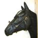 PS Horse Articles French Cavesson Cavecon/Cavesson with D-Rings Soft - Size Full Brown with Gold Fittings
