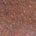 JBL TerraBark 71021 Soil Substrate for Forest & Rainforest Terrariums - Pine Bark 2-10 mm 5L | International Shipping Available - Buy Online on SooperMarket.com