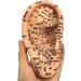 Model for Ear Acupuncture 16 cm The Pressure Point and Meridians Anatomical Model Doctor PVC Acupuncture
