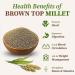 nalAmudhu Browntop Millet | Korale | Urochloa Ramosa Millet 453.5g | 1-lbs - Buy Online on SooperMarket.com