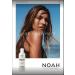 Buy Noah Hair 1.1 Volumizing Shampoo - Organic & Best for Natural Beauty - Essential Oils & Hydrolysed Wheat Protein - 8.5 fl.oz (250 ml) - International Shipping - Buy Online on SooperMarket.com