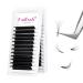 Fadlash Easy Fan Lashes DD Curl 0.03 13-16mm Mixed Length Russian Lashes Natural Look Self Fanning Eye Lashes Automatic Blooming Russian Eyelashes Extensions(0.03-DD-1316) 13-16 mm 0.03-DD