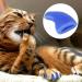 Cikonielf 100PCS Soft Pet Cat Nail Caps Claws Safe Anti Scratch Dog Paw Claw Protector Covers with Instructions With multiple options.(Blue S) - Buy Online on SooperMarket.com
