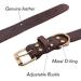Tagme Personalized Leather Dog Collar - Engraved Name & Phone Number for Small Dogs - 1 Pack (Brown) - Buy Online on SooperMarket.com