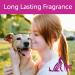 Nootie Daily Spritz Pet Conditioning Spray - Japanese Cherry Blossom Scent - 8 oz Dog Conditioner for Sensitive Skin - Long Lasting Fragrance - No Parabens, Sulfates, Harsh Chemicals or Dyes - Revitalizes Dry Skin & Coat - Buy Online on SooperMarket.com