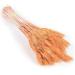 25pcs/set Natural Wheat Ear Barley Dried Flowers Bouquet For Wedding Party Decoration Wheat Decoration Room Bouquet Craft Orange 25pcs