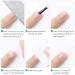 240 Pieces Full Cover Nail Tips - Clear Almond Shape No Wrinkle 12 Sizes Included | Perfect for DIY Manicure & Press-On Nails | International Shipping Available - Buy Online on SooperMarket.com