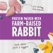 Nature's Variety Instinct Raw Boost Cat Food Rabbit Mixer 6 oz. - Buy Online on SooperMarket.com