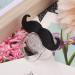 Schnuller Schnurrbart f r Babys 0-6 Monate | Umweltfreundliche Mini-Pacifier mit Schnurrbart und Lippen Perfekt f r die internationale Lieferung! - Buy Online on SooperMarket.com