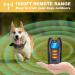 Dog Training Collar with Remote Sound & Vibration Training Modes USB Rechargeable IP67 Waterproof 1000FT Remote Range Remote Anti Bark Collar for Small Medium Large Dogs Orange - Buy Online on SooperMarket.com
