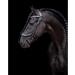Buy Presteq Bridle FaySport Glitter PresTec Black - Full/WB - International Shipping Available - Buy Online on SooperMarket.com