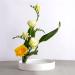 DAJAVE 10 Pack Flower Frogs - Round Japanese Flower Arranger Tool for Plant Decoration and Floral Arrangement - Buy Online on SooperMarket.com