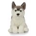 Living Nature AN461 Pets Husky Realistic Soft Cuddly Dog Toy Naturli Eco-Friendly Plush 21cm Husky 21cm