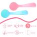 Buy Wllhyf 2-Pack Manual Face Cleaning Brush - Soft Silicone Peeling Pad with PP Handle for Clear Skin (Blue & Pink) - International Shipping - Buy Online on SooperMarket.com