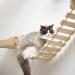Yiotl Wall-Mounted Cat Shelf Set - Modern Solid Wood Furniture with Hammock, Climbing Bridge, and Cat Mat - Buy Online on SooperMarket.com