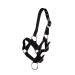 QHP Foal Halter Halter Foal Nylon Halter 4 Foal Sizes 6 Colors (Foal Full black) Foal Full black