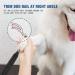 Bisnuy Professional 2-Speed Electric Dog Nail Grinder for Painless Grooming - Rechargeable Pet Nail Trimmer for Dogs & Cats - Buy Online on SooperMarket.com