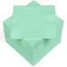 HEKU 100 single-colored napkins 3-layer 33x33cm i Uniform quality for events & gastronomy I practical 5-pack I highly absorbent and stylish mint