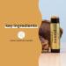 Cocokind Highlighter Stick | Sunrei Reishi Gold - Natural Plant-Based Highlighter | 0.5 oz - Buy Online on SooperMarket.com
