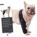 CORHAD Dog Leg Braces for Hindleg Comfortable Dog Knee Dog Back Leg Protector Puppy Pet Mesh Fabric Care M As Shown - Buy Online on SooperMarket.com