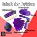 PFIFF 100576 Children's Grooming Box - 6-Piece Horse Care Kit Purple | International Shipping Available - Buy Online on SooperMarket.com