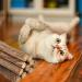 tiopeia 30 PCS Cat Catnip Sticks Natural Matatabi Chew Sticks as Dental Treat Teeth Grinding Chew Toys for Cat Kitten Kitty - Buy Online on SooperMarket.com