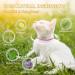 Cat Repellent Treatment Adjustable Cat Repellent Collars Natural Protection Repellent Collar for Cats Water Resistant Repellent Collar for Cats Small-Medium-Large Pink 2pack - Buy Online on SooperMarket.com