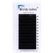 Eyelash Extensions D Curl 20-25mm Single Tray Classic Eyelash Extensions Individual Lashes 0.20mm Thickness Silk Lash Extensions Professional Salon Use by WENDY LASHES(0.20-D 22mm)