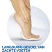 Scholl Foot Mask with Lavender - Nourishing & Relaxing Foot Cream - Expert Care for Healthy Feet - 1 Pair - Shop Internationally - Buy Online on SooperMarket.com