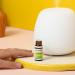 Pranarom Peppermint Essential Oil 0.17 fl oz (5 ml) - Pure Aromatherapy & Wellness - Buy Online on SooperMarket.com