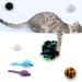 QUOZUO 32-Piece Cat Toy Variety Pack - Best Cat Toys for Kittens & Cats | International Shipping Available - Buy Online on SooperMarket.com