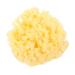 Gogogmee Moisturizer Natural Sponges for Bathing Natural Bath Sponge Sea Sponges for Shower Body Sponges Sponge for Shower Bathing Sponge Natural Sponges for Body Shower Sponge