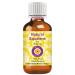 Deve Herbes Pure Natural Squalane Oil (derived from Olives) 50ml (1.69 oz) 50ml (1.69 oz) with Plastic Euro Dropper