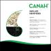 Canah Natural Hemp Seed Raw Shelled (Hulled) Hearts 500 g Vegan High in Protein Fiber Omega 3 & Omega 6 Amino Acids Vitamins and Minerals Certified Kosher + Free Bonus Recipes 500g - Buy Online on SooperMarket.com