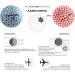 Kaede Max 2 Tone Distance Golf Balls (Half Dozen) - Red/Mint Blue/Pink - Buy Online on SooperMarket.com