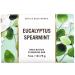 Bath and Body Works Eucalyptus Spearmint Bar Soap 2 Pack - Refreshing Scent - Buy Online on SooperMarket.com