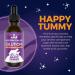 Jackson Galaxy Happy Tummy Pet Solution - Stress Relief & Toxin Cleanse - Aid for Stomach Issues - All-Natural & Reiki Infused (2 oz.) - Buy Online on SooperMarket.com