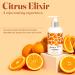Coochy Plus Citrus Elixir Intimate Shaving Cream - Rash-Free Moisturizing Formula for Pubic, Bikini Line, Armpit - Prevents Razor Burns, Bumps, Ingrown Hairs - 1-Pack - Buy Online on SooperMarket.com