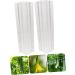 Toddmomy Garden Fruit Mould 4 Pcs Vegetable Shaping Mold Vegetables Vegetable Shaper Mold Cucumber Growth Molds Accessories - Buy Online on SooperMarket.com