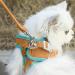 Fueegue Cat Harness with Leash - Escape Proof Adjustable Soft Harness for Cats & Small Dogs - Green S - Buy Online on SooperMarket.com