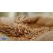 Postum Wheat Bran & Molasses Coffee Substitute - 8oz | Natural Blend Caffeine-Free Coffee Alternative for Breakfast | Tasty, Rich, and Healthy - Gourmet Pantry Pack | Original Flavor - 1 Pack - Buy Online on SooperMarket.com