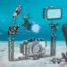 Seafrogs 1'' Underwater Diving Camera Arm | Black Standard Ball Clam for Underwater Photography | Compatible with GoPro Action Camera | CP-2 - Buy Online on SooperMarket.com