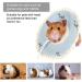 Buy DERCLIVE Small Pet Elizabeth Collar - Protective Circle Nursing Ring for Guinea Pig Rabbit Sugar Glider - Pink/Blue - L. Blue - Ideal for International Shipping - Buy Online on SooperMarket.com