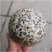 Ornament Natural Stone Sphere Dalmatian Jasper Crystal Quartz Ball for Gift for Decoration Gift Decoration feng Shui 1pc (Color : 1pc 60mm) - Buy Online on SooperMarket.com