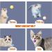 QIODAZOO 12PCS Cat Toy Balls 6 PCS Cat Bell Ball and 6 PCS Cat Soft Ball for Kitten Cat Interacitve Indoor Colorful Toy (Random Color) - Buy Online on SooperMarket.com