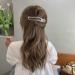 Aaiffey Alligator Hair Clips - 5 Pcs Matte Premium Strong Non-Slip Professional Styling Clips for Women - Ideal for Any Hairstyle - Buy Online on SooperMarket.com