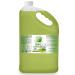 Bella Terra Oils Green Coffee Bean Oil 1gallon For Hair & Skin Rich in Antioxidants Nourishing Fast-Absorbing Non-Greasy