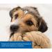 Buy TRIXIE 33561 Dog Activity Disc - Bite-Proof 19 cm Pack of 3 | Durable Dog Toys for Interactive Play - Buy Online on SooperMarket.com